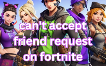 Friend Requests on Fortnite