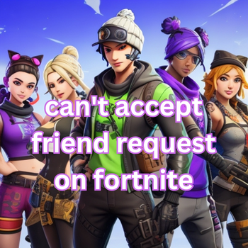 Friend Requests on Fortnite